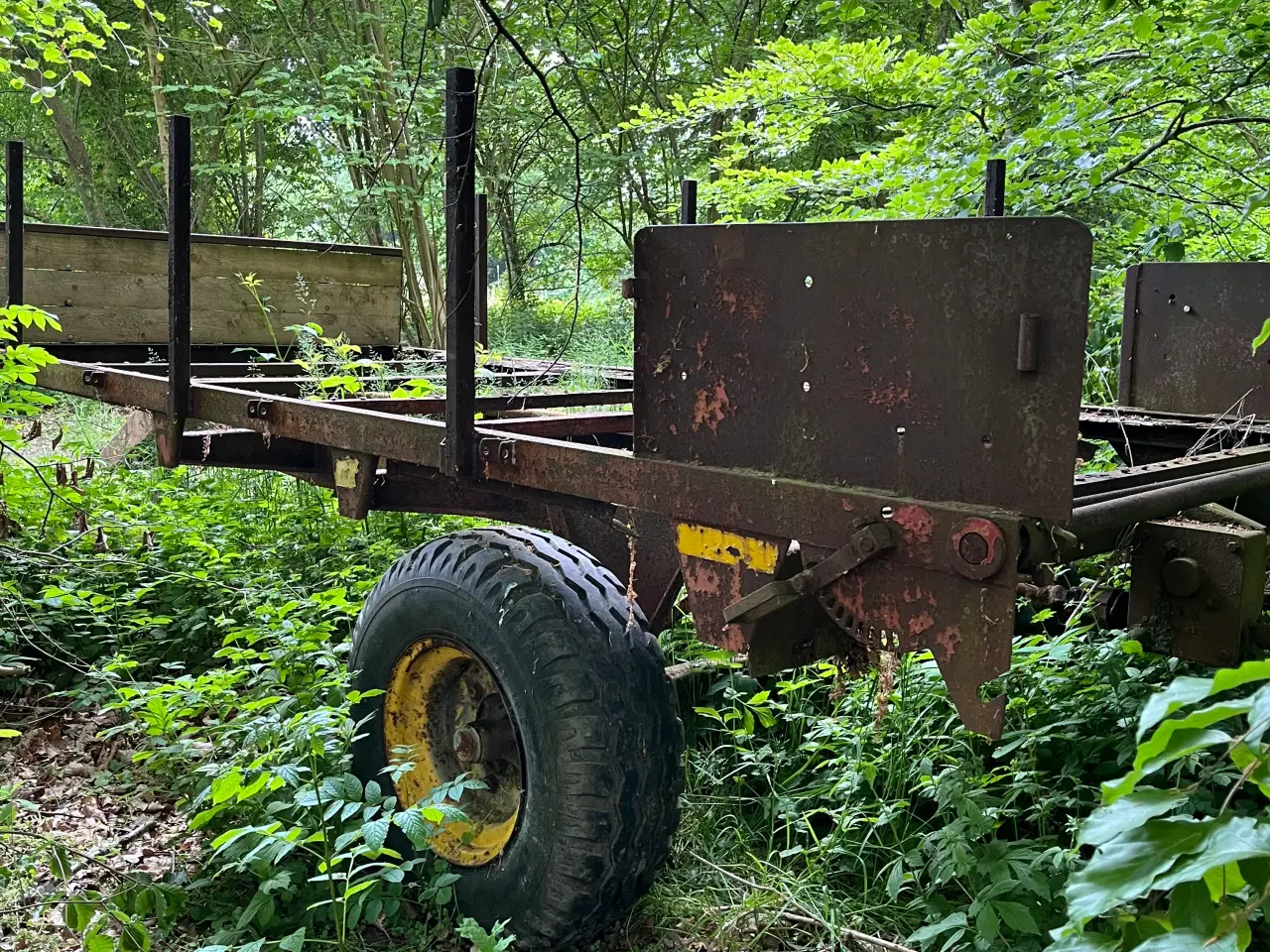 Billede 3 - Dexta diesel med vogn 