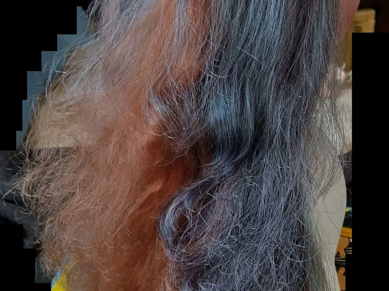 Billede 5 - 5 stk. Bratz Heste