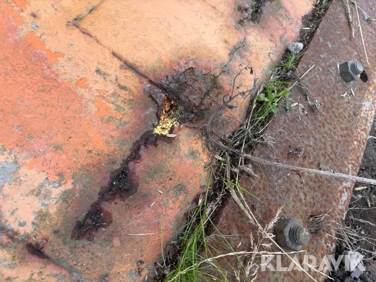 Billede 11 - Trompet plov Epoke