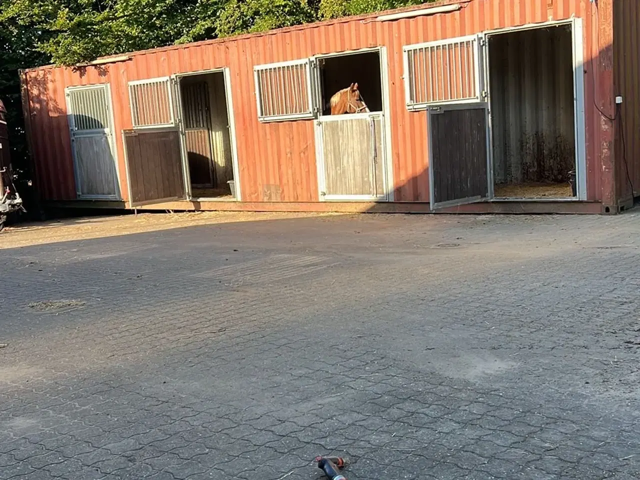 Billede 1 - 40” container med 3 gode heste bokse