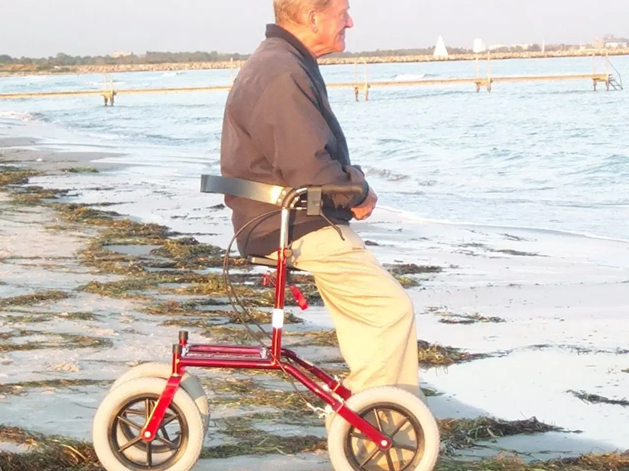 Billede 3 - Rollator "Carl Oscar"