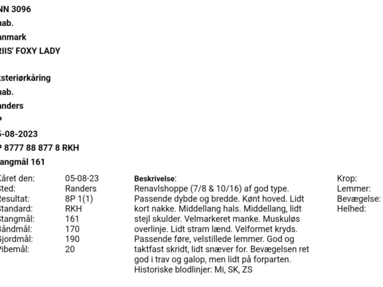 Billede 4 - Knabstrupper hoppe, født 2020