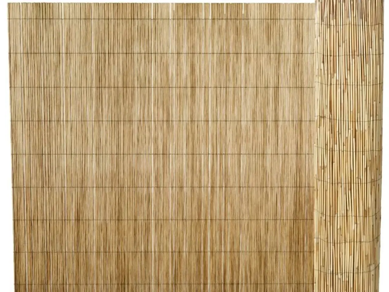 Billede 1 - Sivhegn til haven 500x100 cm