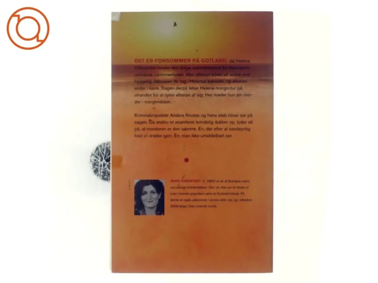 Billede 3 - Mari Jungstedt, den du ikke ser