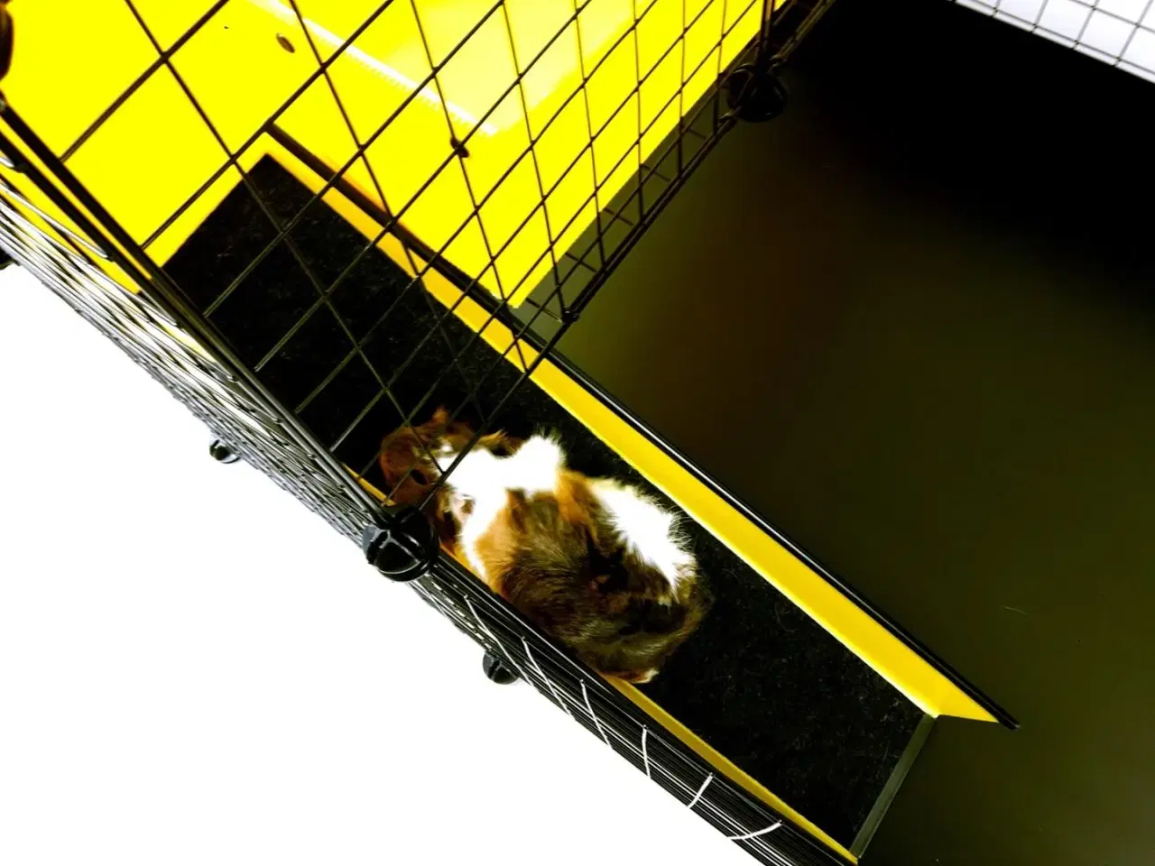 Billede 9 - Gnaverbure – C&C modulbur 4x2 med loft 2x1 og grå rampe