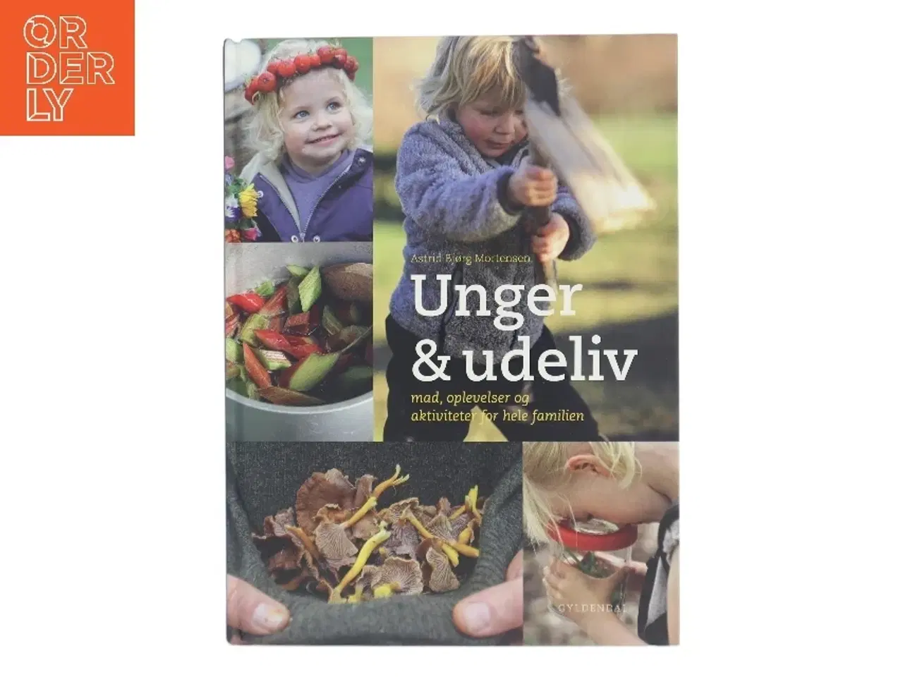 Billede 1 - Unger & udeliv : mad, oplevelser og aktiviteter for hele familien af Astrid Bjørg Mortensen (Bog)