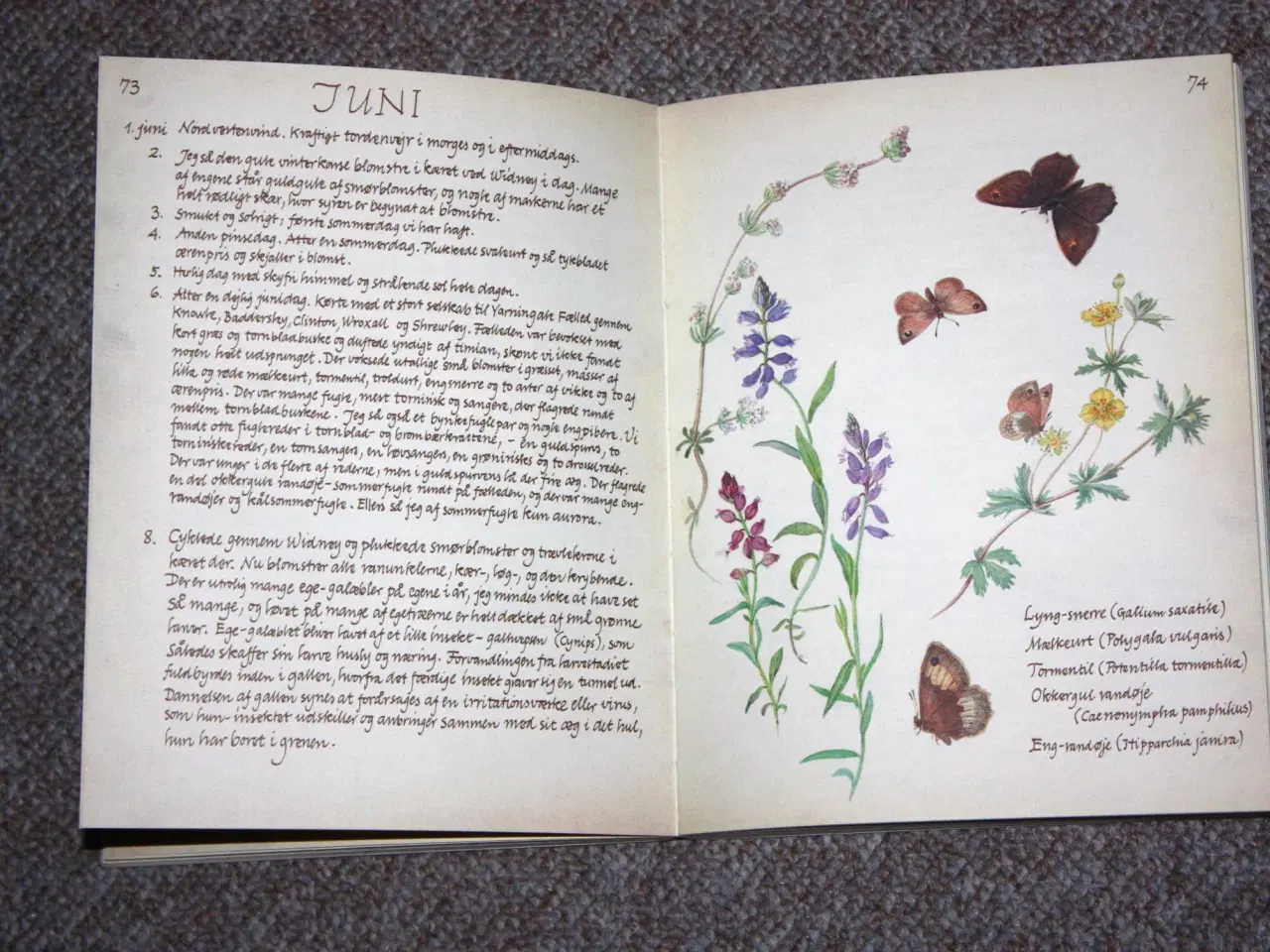 Billede 2 - Naturdagbog af en engelsk dame år 1906 Edith Holde