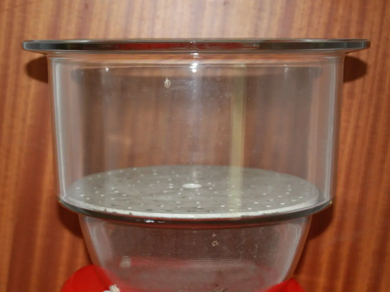 Billede 1 - Kæmpe vase / plantekumme af glas