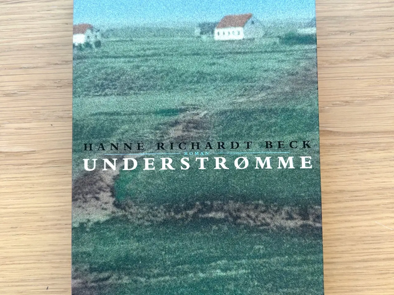 Billede 1 - Understrømme by Hanne Richardt Beck