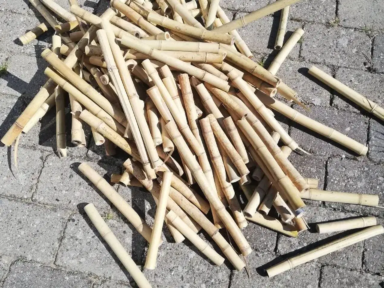 Billede 1 - Bambus stykker 10-50cm
