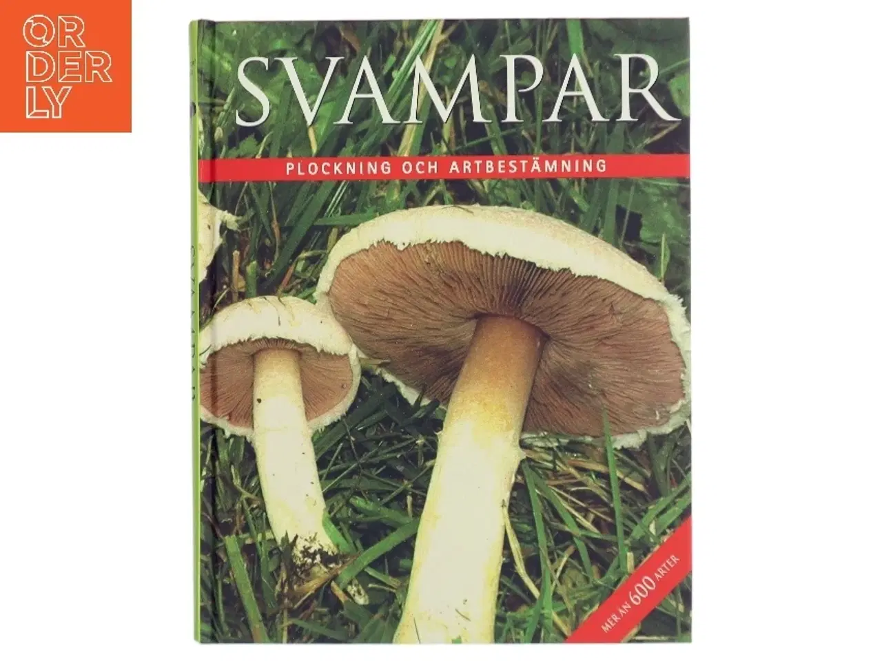 Billede 1 - Svampar af Rebo Publishers (Bog)