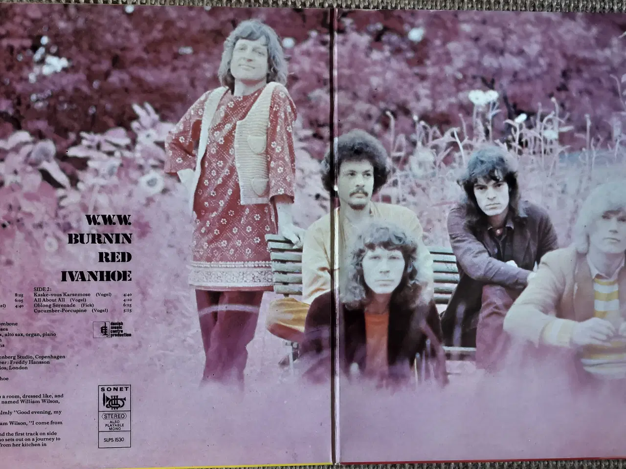 Billede 2 - Burnin Red Ivanhoe 