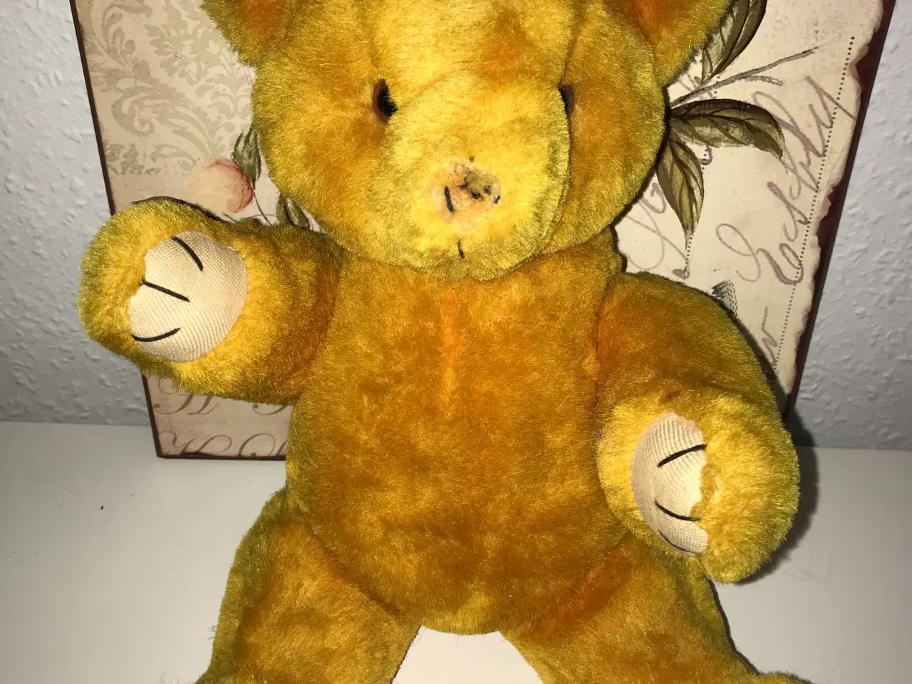 Billede 1 - Ældre bamse Bjørn 