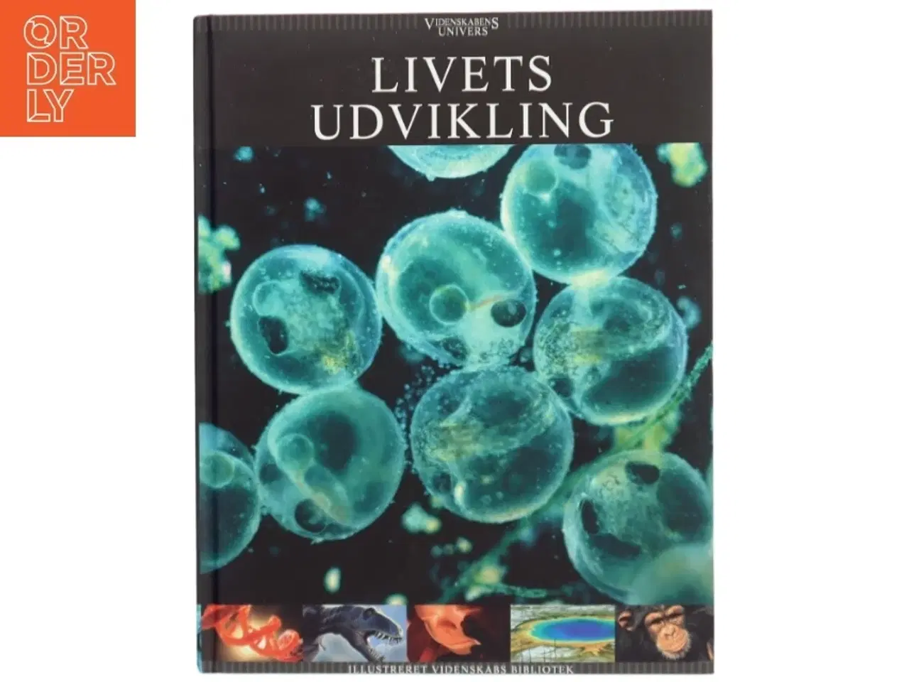 Billede 1 - Livets udvikling (Bog)