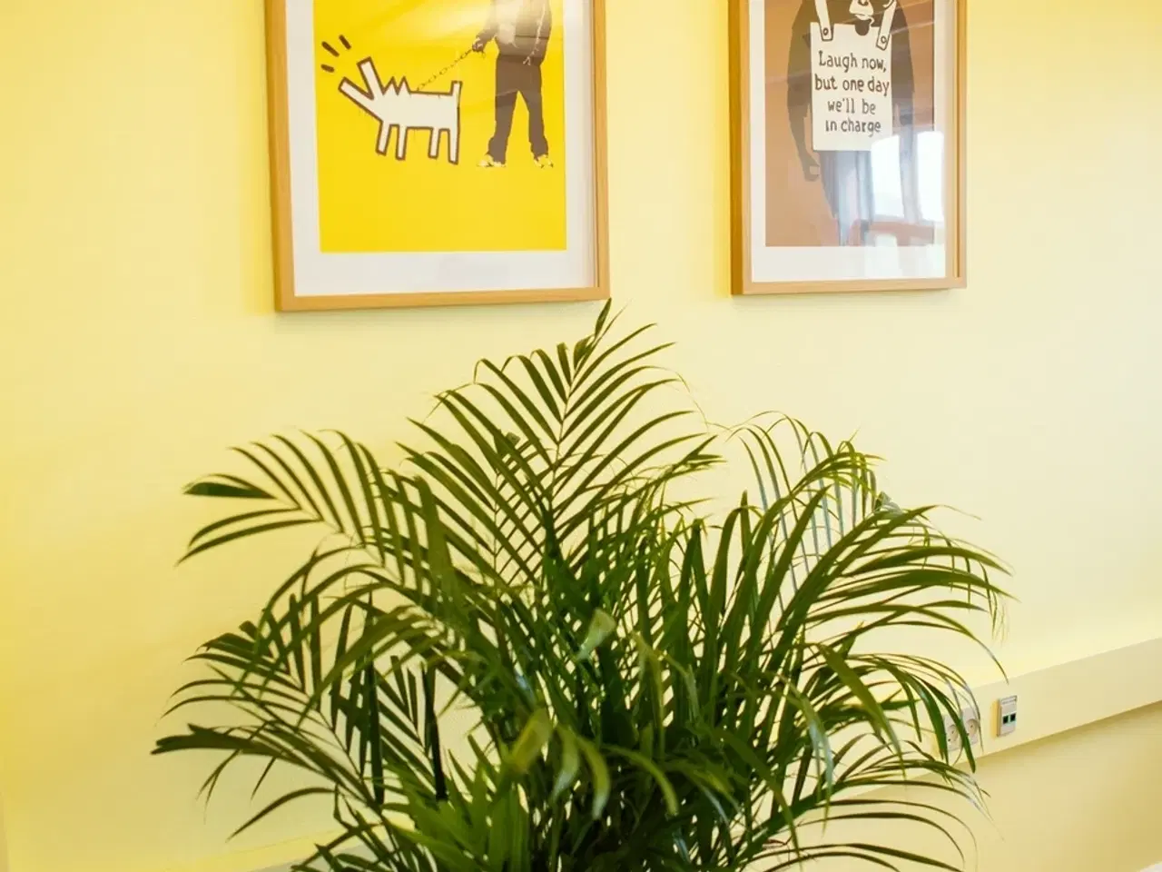 Billede 9 - Cellen Cowork - kontorfællesskab i det tidligere statsfængsel Vridsløselille.