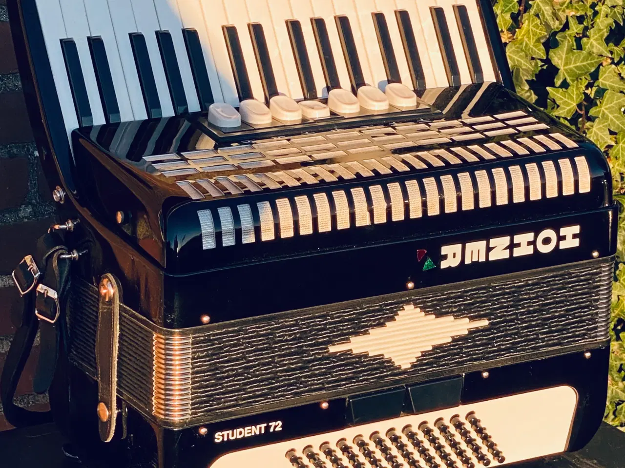 Billede 11 - Hohner Student 72 – allround harmonika sælges fra 