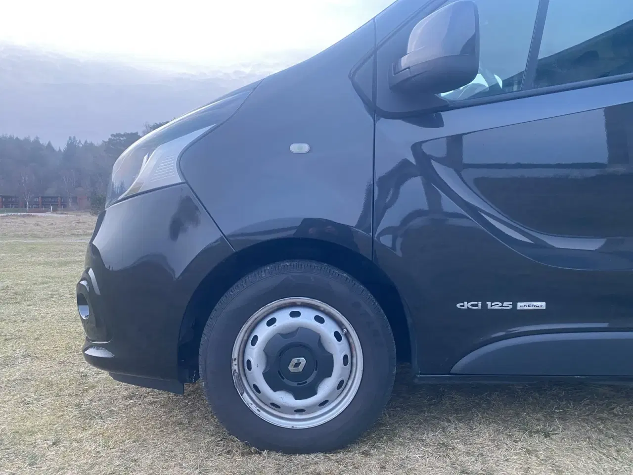 Billede 17 - Renault Trafic T29 1,6 dCi 125 L2H1 Grand Passenger