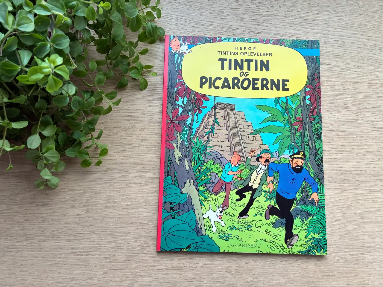Billede 1 - TINTIN og PICAROERNE   Tintins Oplevelser