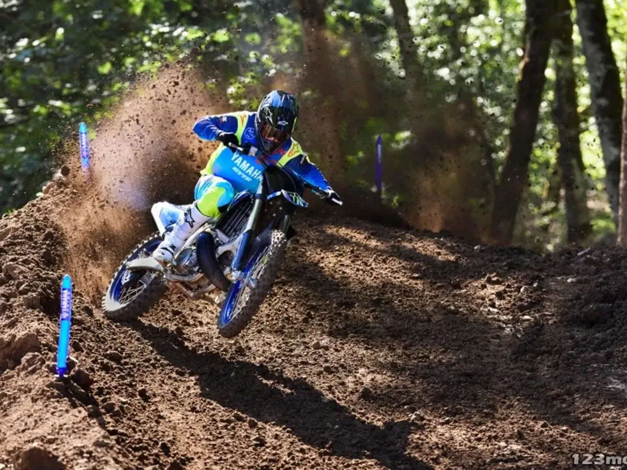 Billede 3 - Yamaha YZ 250 LC Monster Energy Yamaha Racing Edition