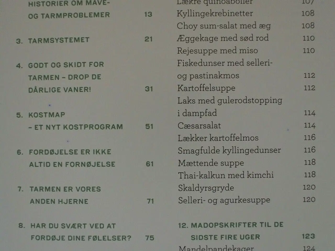 Billede 2 - elsk din tarm , af lene hansson og christine 