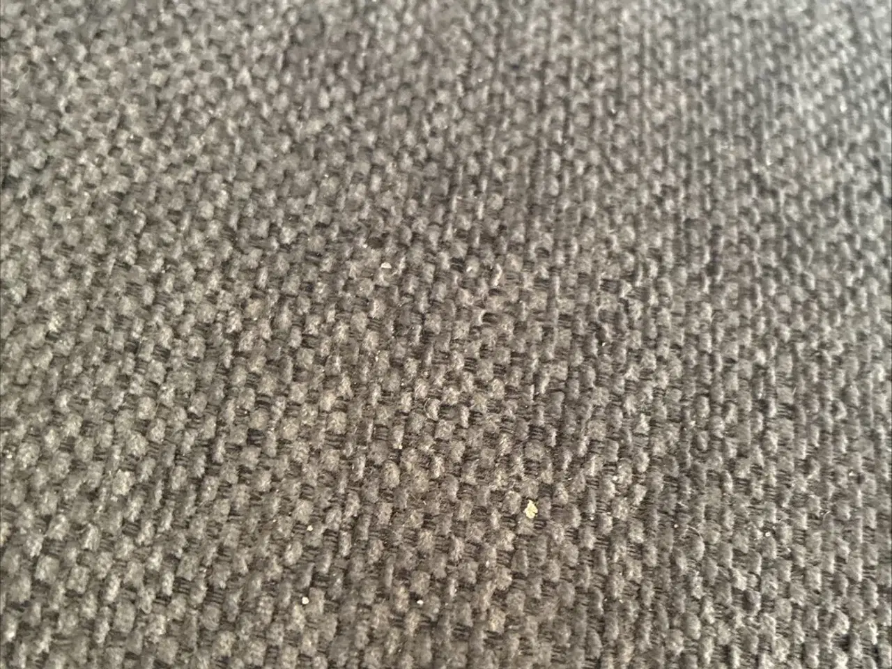 Billede 1 - Lys Sussex 