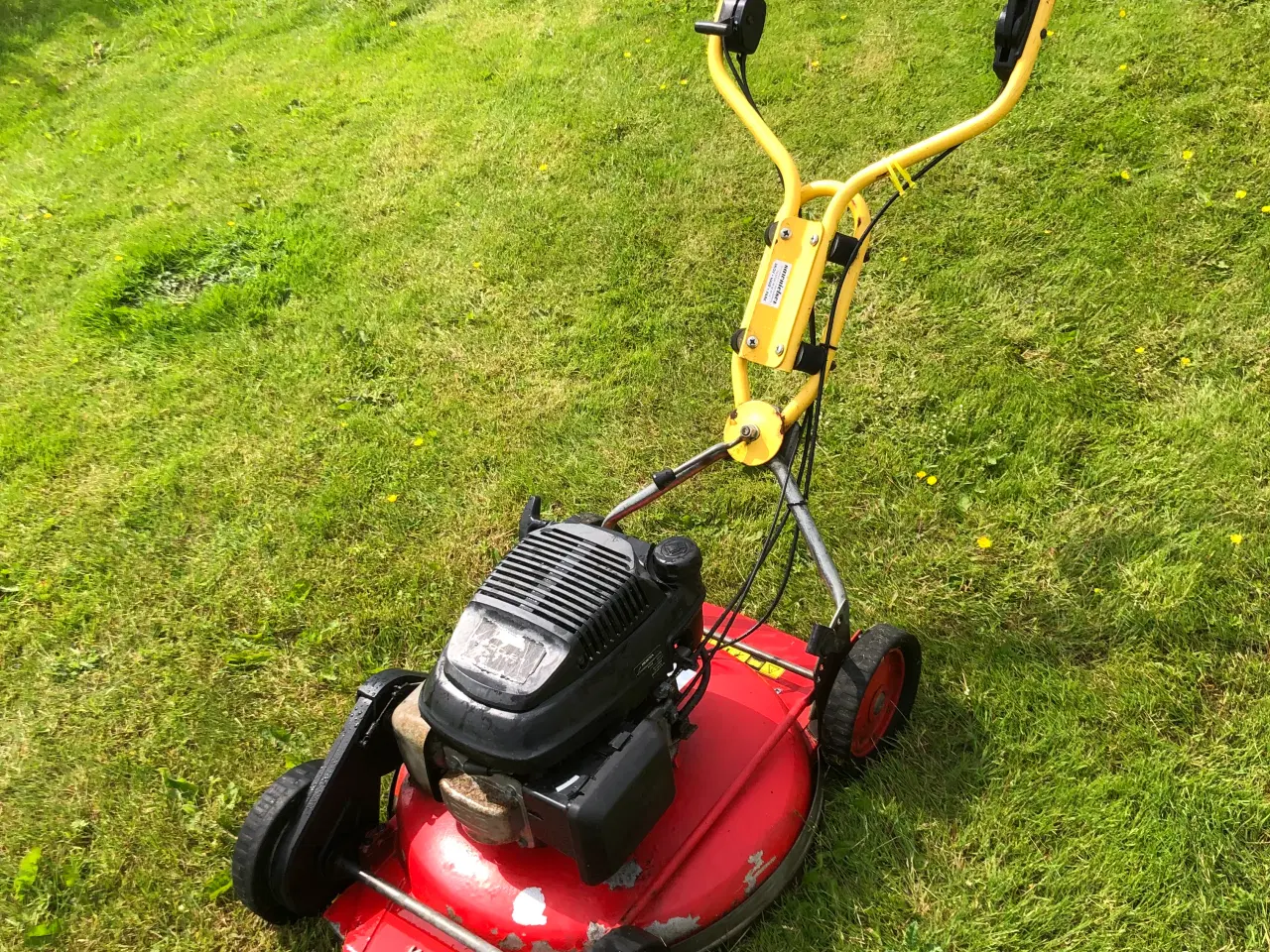 Billede 2 - Klippo Professional, selvkørende 