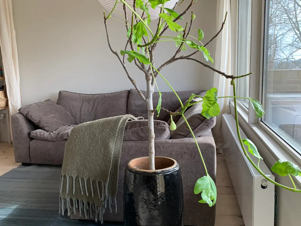 Billede 6 - Modul sofa fra Ilva 