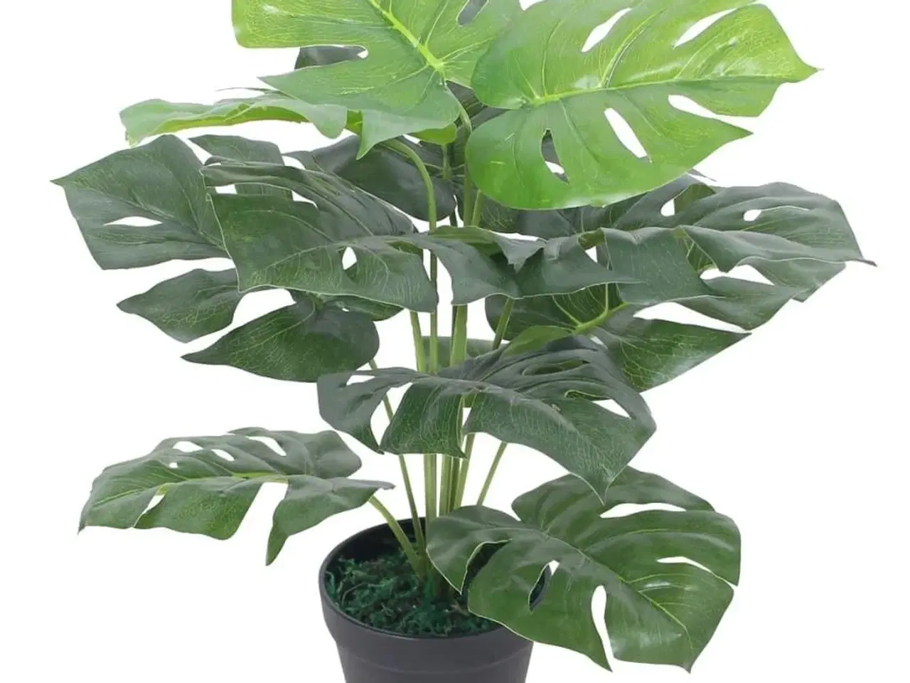 Billede 1 - Kunstig monstera-plante med potte 45 cm grøn