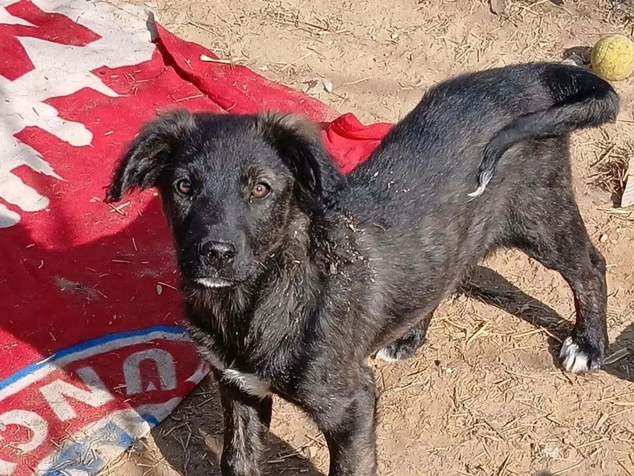 Billede 8 - Sødeste Zia leder efter sin helt egen familie 💝