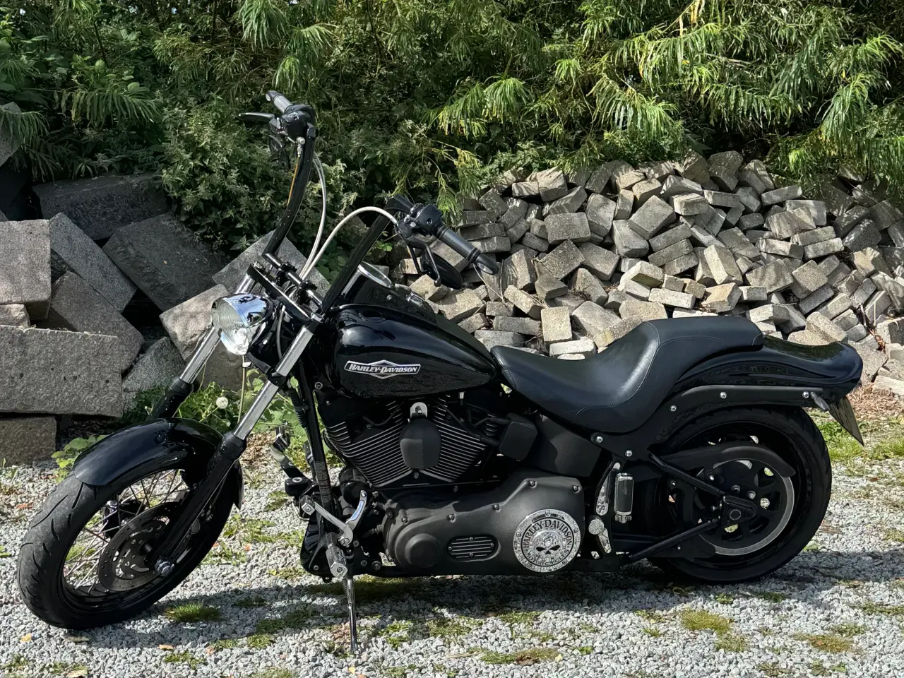 Billede 4 - Harley - Night Train