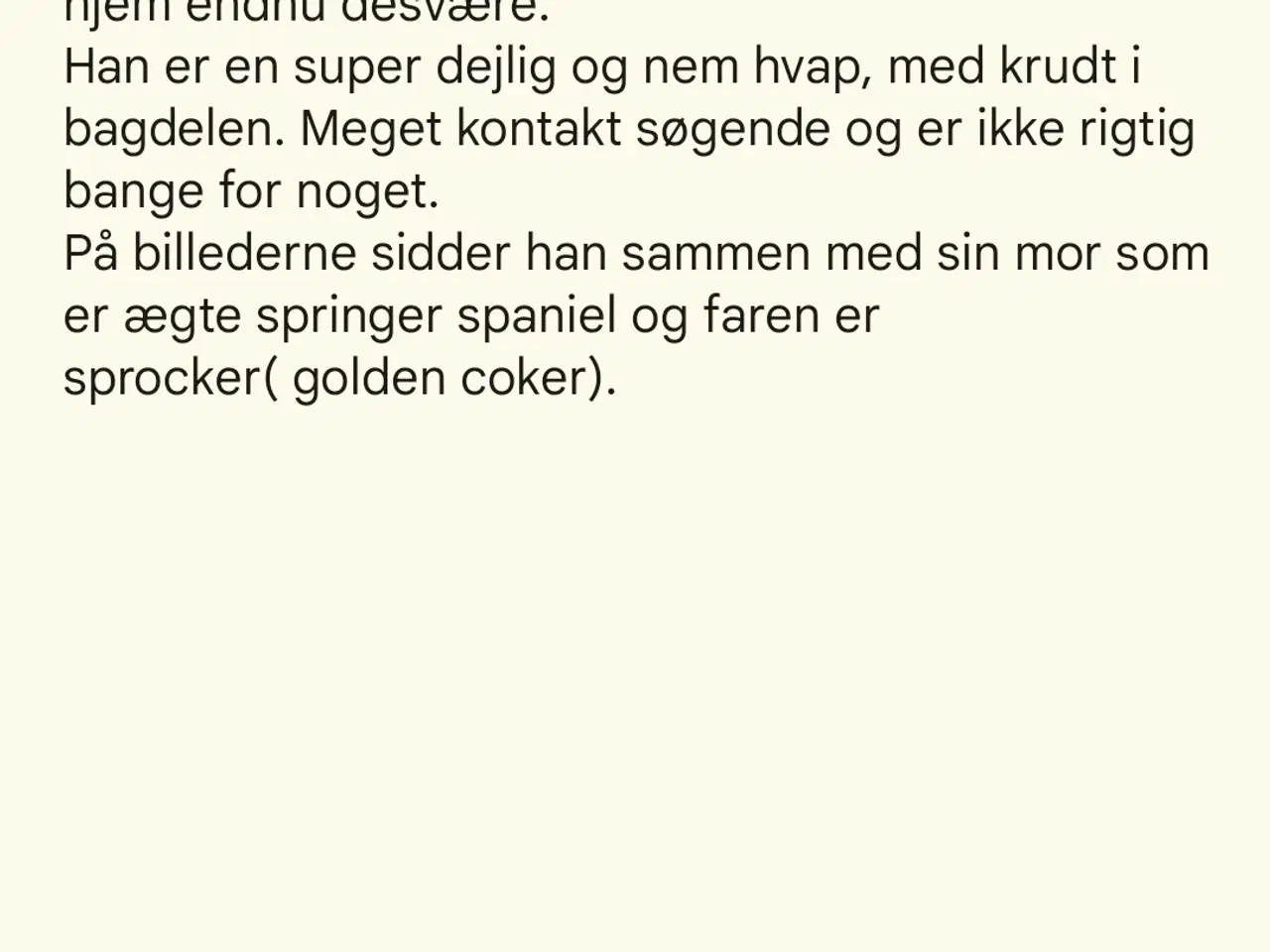 Billede 4 - Springer/coker hvalp