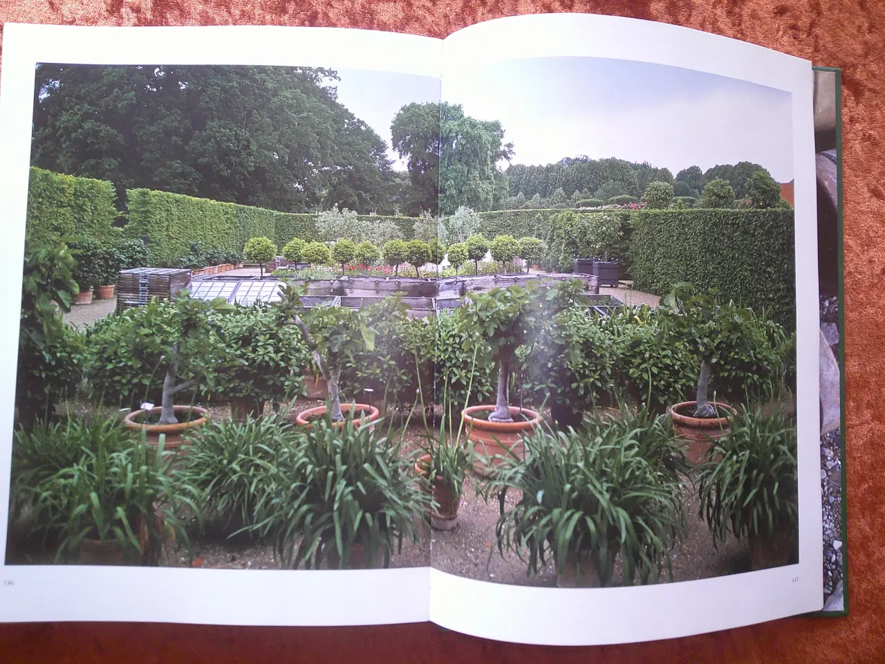 Billede 4 - Krukker året rundt i paradehuset på Gisselfeld, 