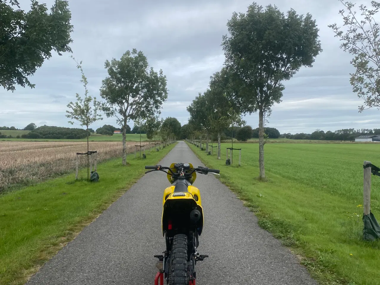 Billede 2 - Suzuki rmx 50