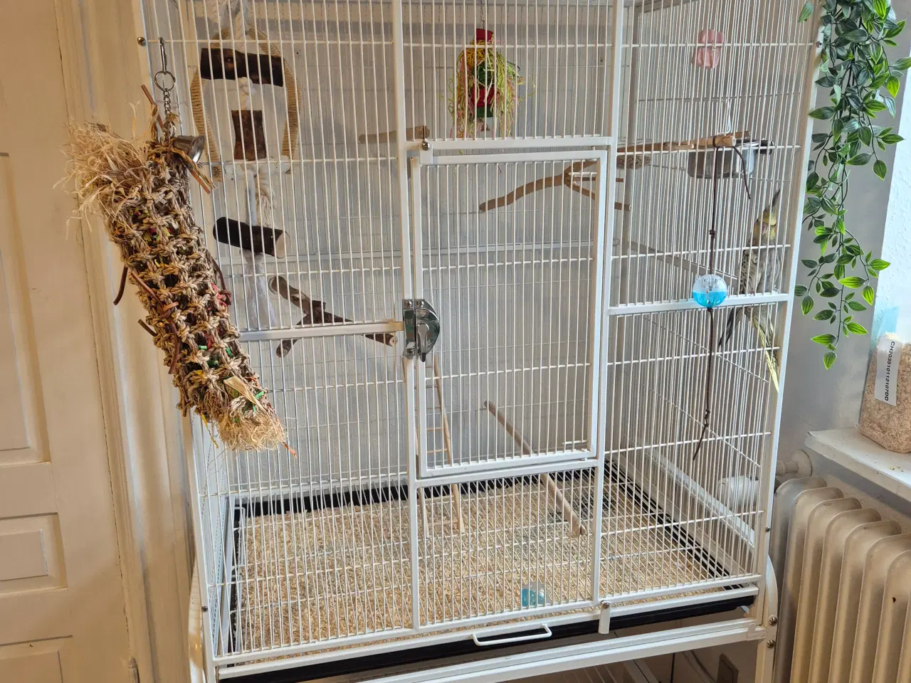 Billede 3 - Fuglebur