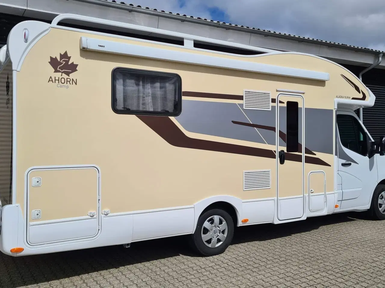 Billede 4 - 2023 - Ahorn Alaska TQ