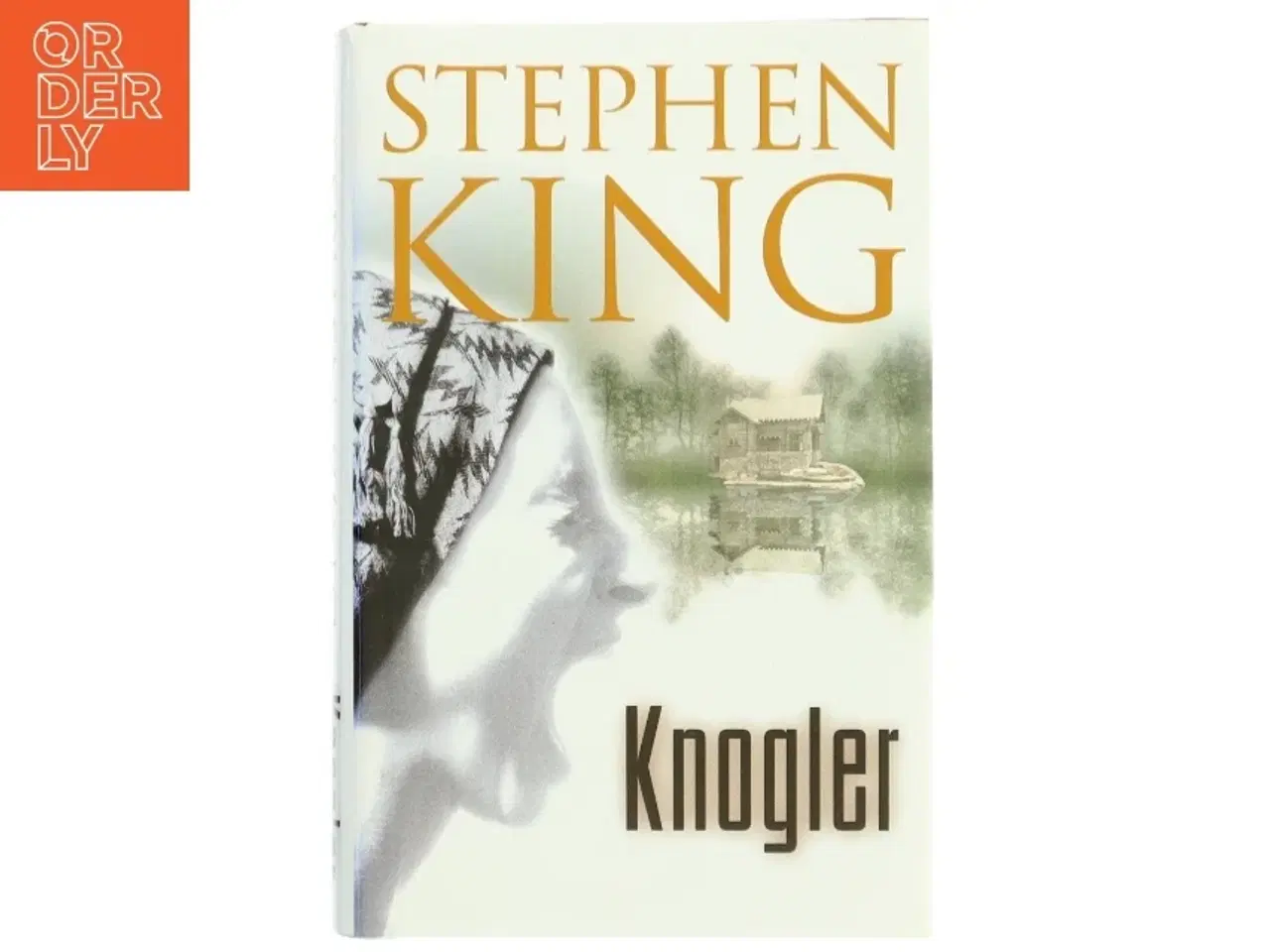 Billede 1 - Bag of Bones - Stephen King
