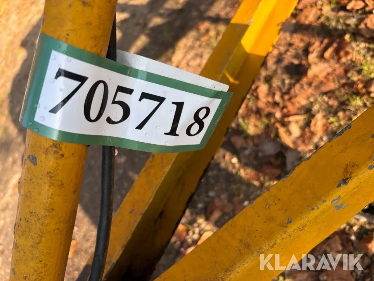 Billede 11 - Kløver