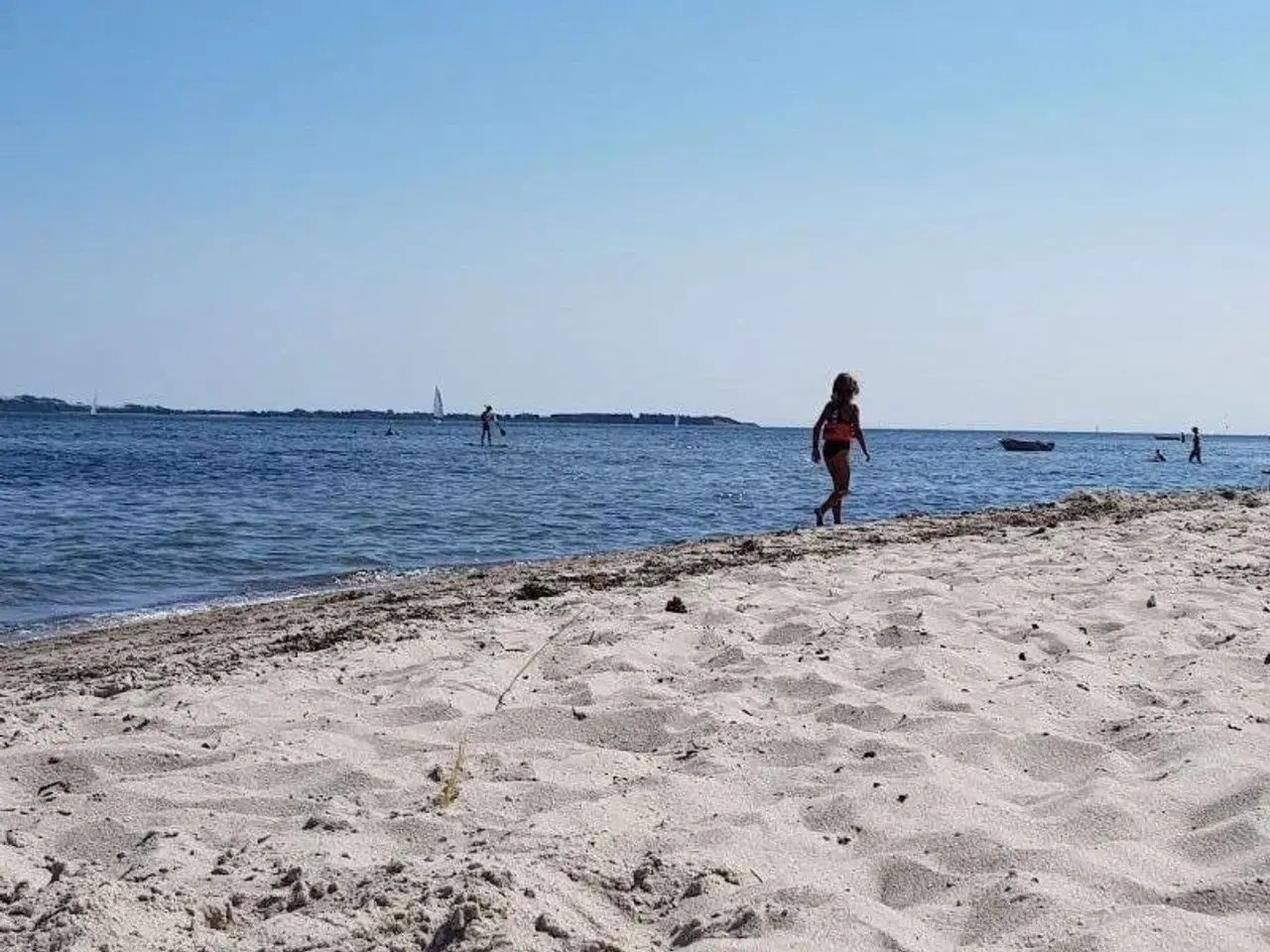 Billede 2 - Skæring. 2 række. 100m fra stranden Århus. Havkik.