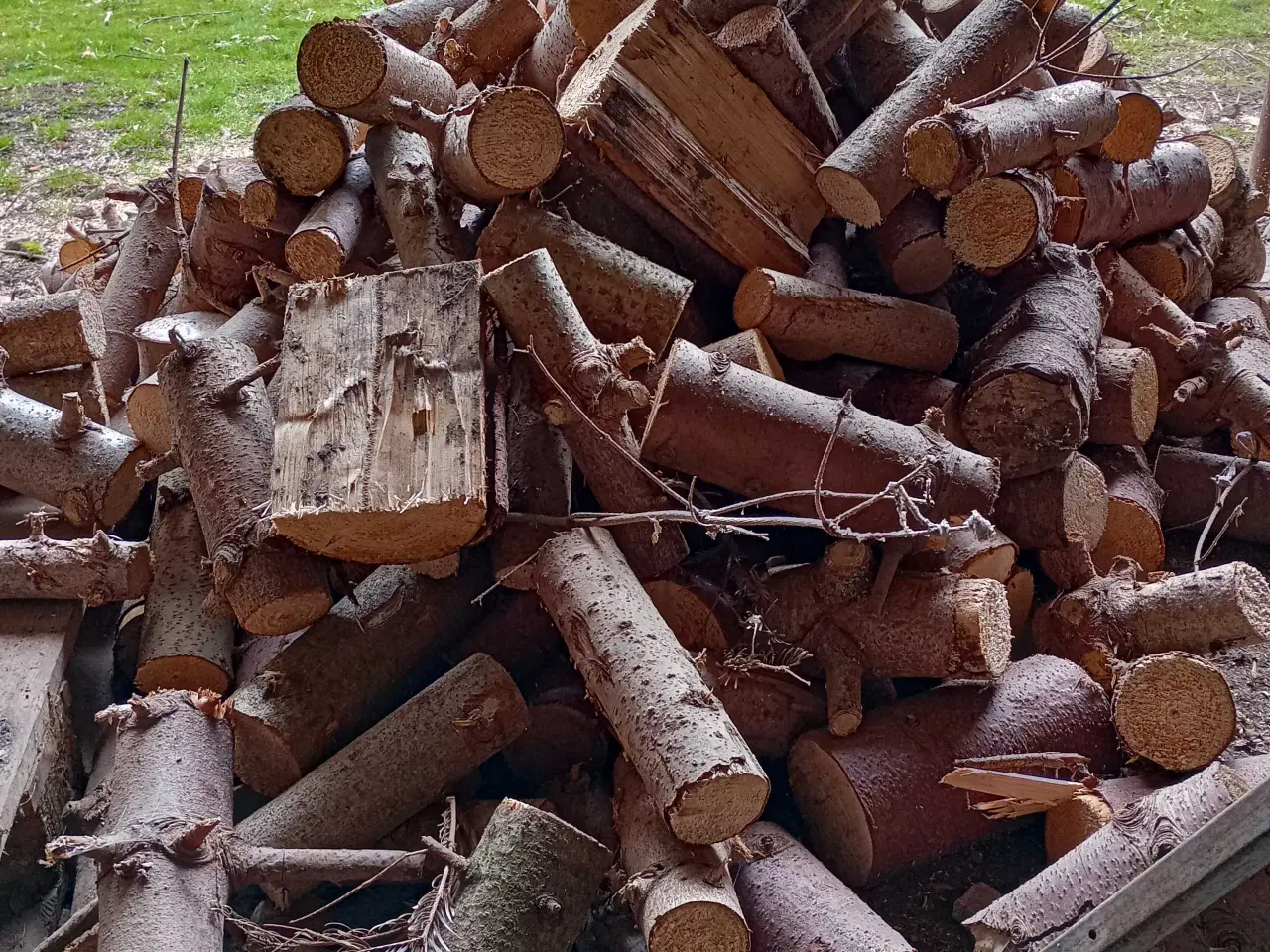 Billede 2 - Trailer fuld brænde sælges