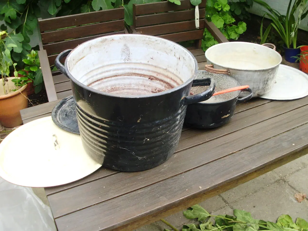 Billede 2 - Mange ting til plantefarvning