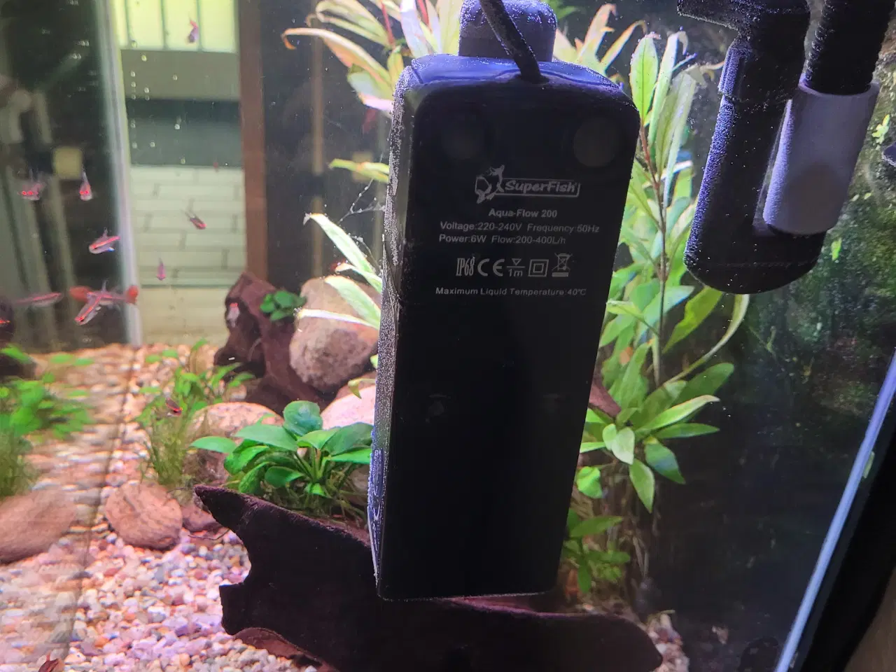 Billede 4 - Akvarium med alt 