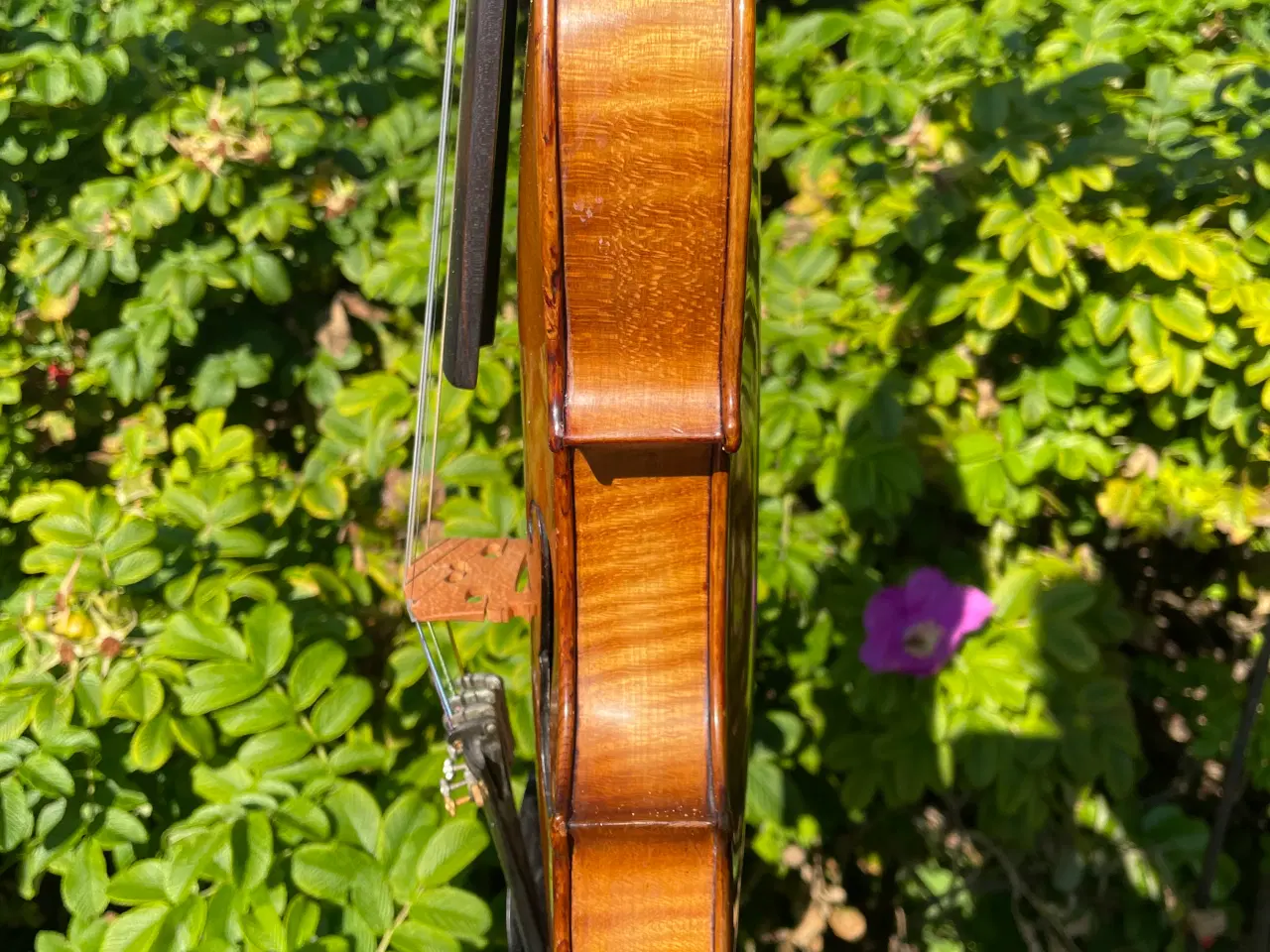 Billede 6 - Gammel Violin