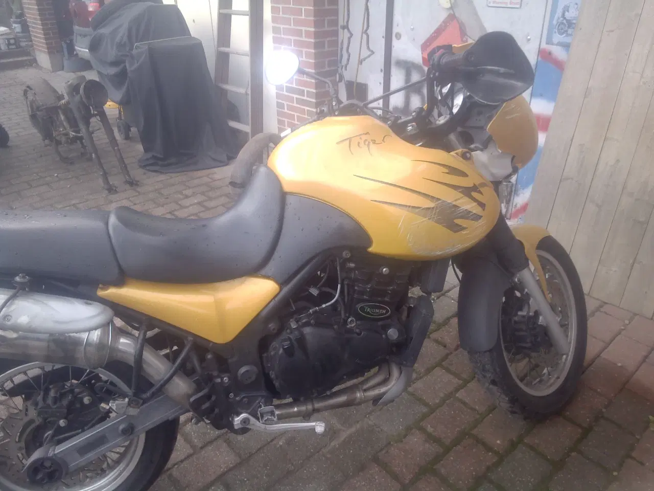 Billede 2 - triumph tiger 900cc