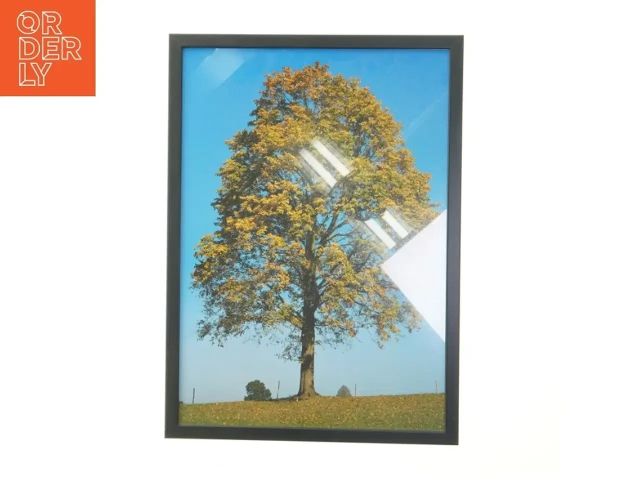Billede 1 - Træbillede i ramme (str. 30x42 cm)