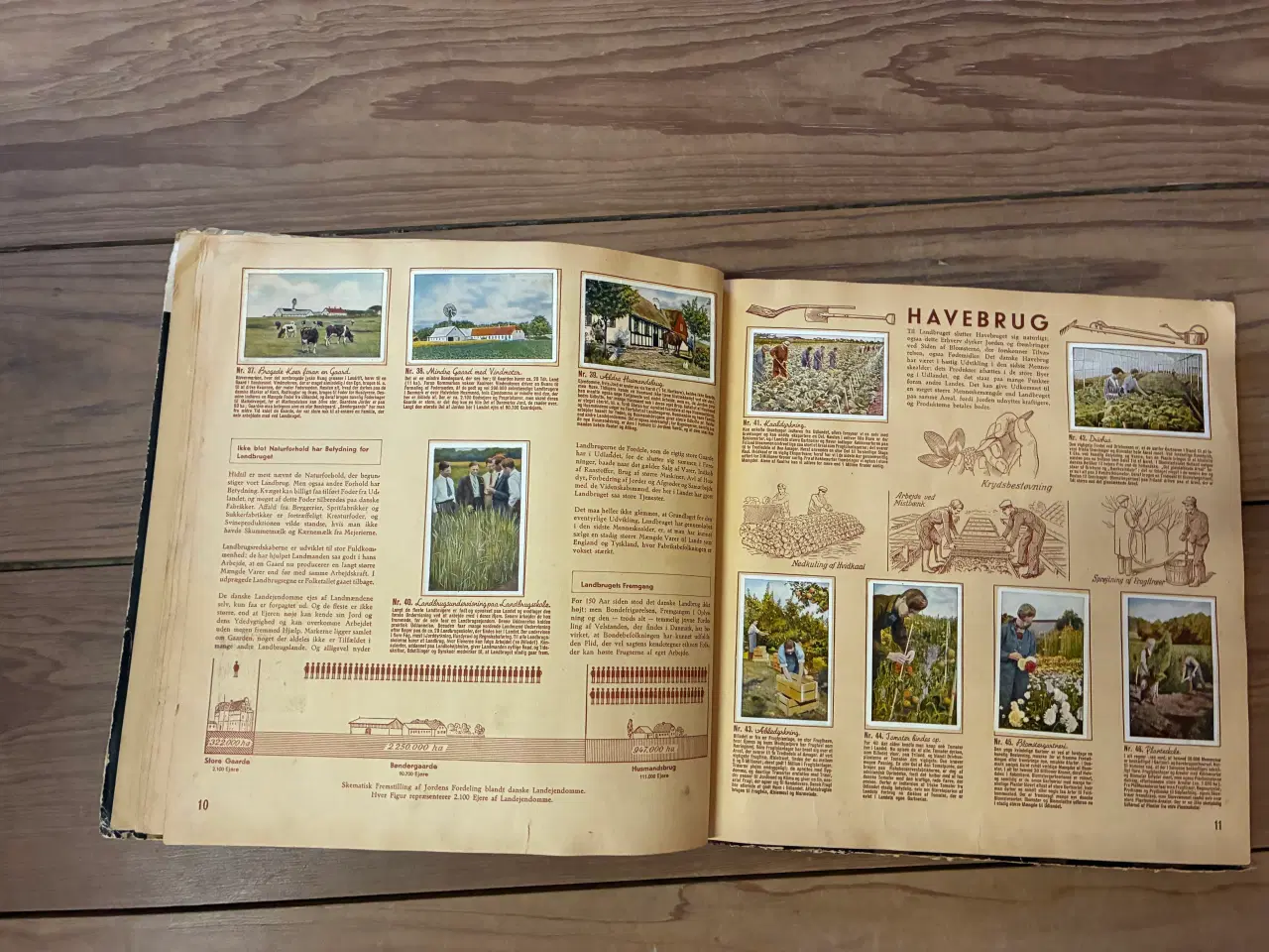 Billede 3 - Samlealbum fra Richs og Danmarks Serien