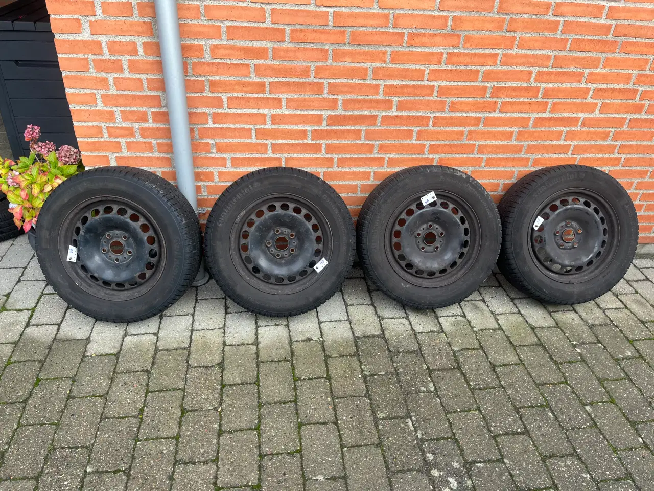 Billede 1 - Vinterdæk 215/60 R16 ContiWinterContact TS830