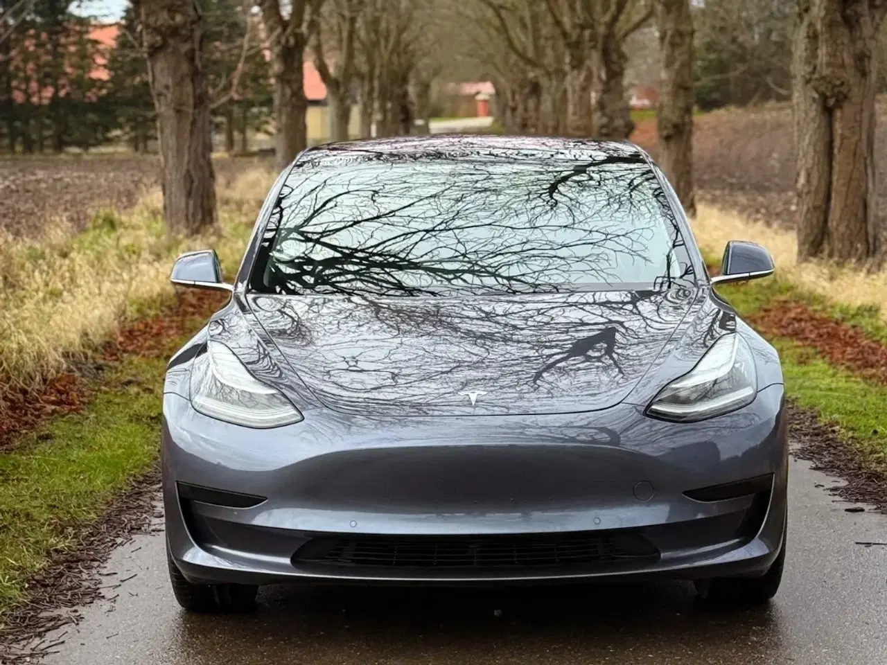 Billede 2 - Tesla Model 3  Standard Range+ RWD