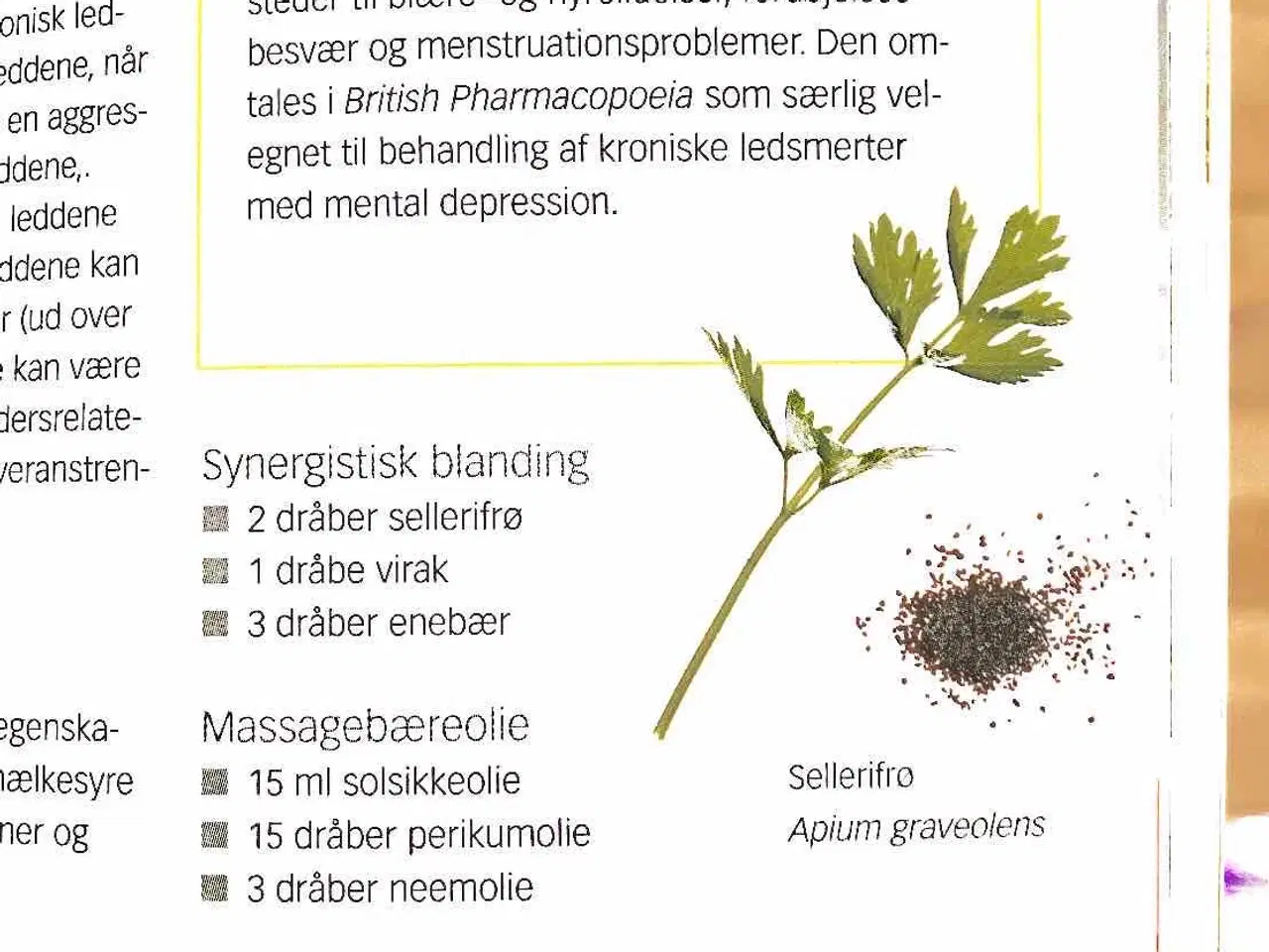Billede 4 - Aromaterapi Æteriske olier til stimulering af krop
