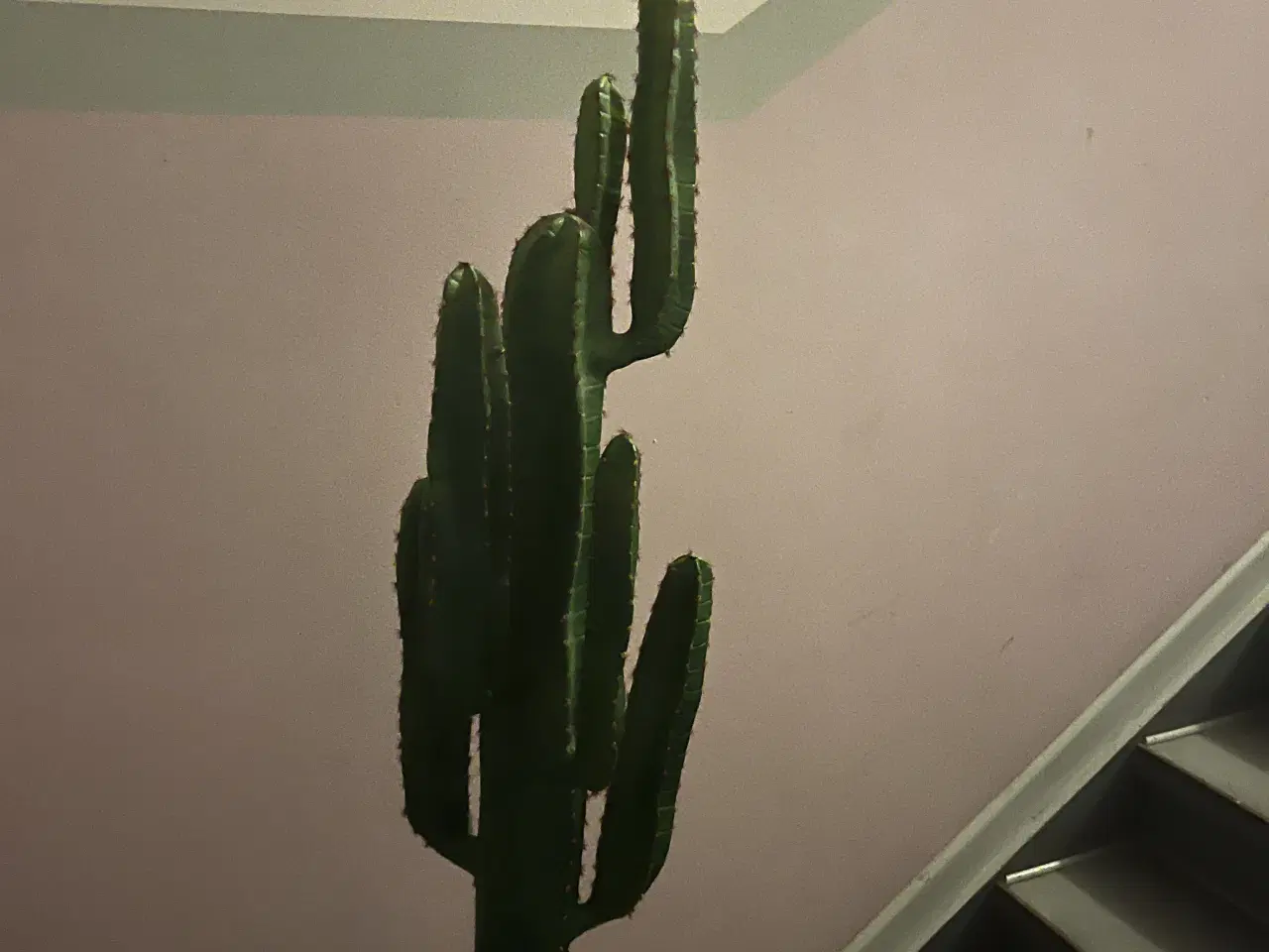 Billede 3 - Kunstig euphorbia kaktus