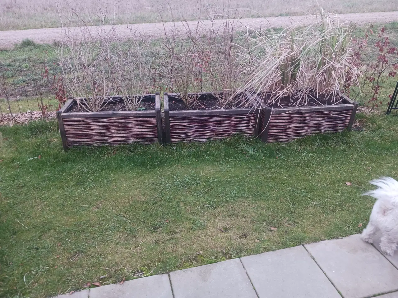 Billede 1 - 3 stk. plantekasser GIVES VÆK